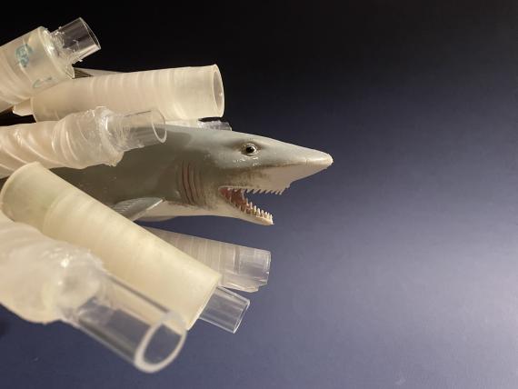 This image shows some of the research team’s 3D-printed pipes alongside a plastic toy shark. Sarah L. Keller/University of Washington