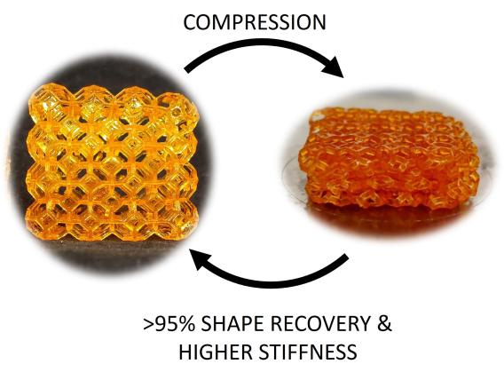 3D printed BSA/PEGDA networks that exhibit shape memory behavior