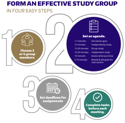 Figure showing steps for forming an effective study group (choosing group members, setting an agenda, setting deadlines for assignments, and completing tasks before the meeting)