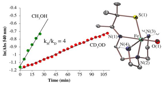 RS-Fe(IV)=O ORTEP and HAT deuterium isotope effect