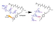 Photochemical crosslinking