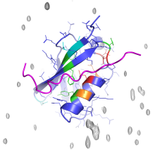 AlphaFold predicted structure of the small ubiquitin-like modifier protein 3 (SUMO-3, blue) bound to a truncated peptide from the REST corepressor 1 (CoREST1, purple)
