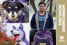 Montage containing Harry the  Husky, Airy the Husky, Homecoming Scholar Rahoul Banerjee Ghosh, and a banner reading "Homecoming Scholars, UWAA"