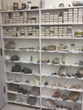 bookshelves containing mineral samples