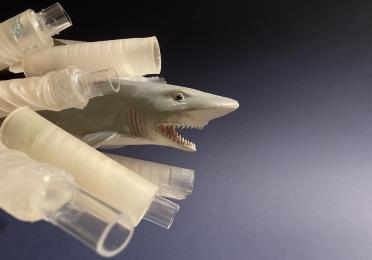 This image shows some of the research team’s 3D-printed pipes alongside a plastic toy shark. Sarah L. Keller/University of Washington