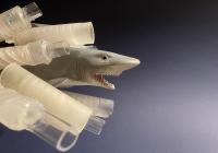 This image shows some of the research team’s 3D-printed pipes alongside a plastic toy shark. Sarah L. Keller/University of Washington