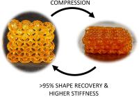 3D printed BSA/PEGDA networks that exhibit shape memory behavior