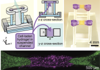 Diagram and photo of the STOMP device
