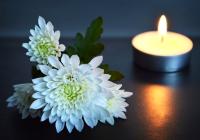 White flowers and a lit votive candle to symbolize a memorial. Stock image provided by Microsoft.