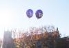 Two purple mylar balloons with white Ws