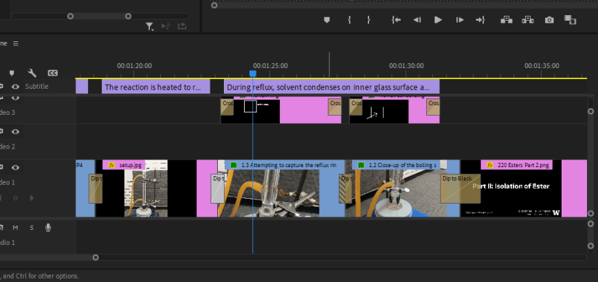 A screenshot of video editing software.