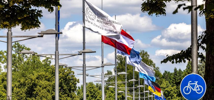 A street lined with flag poles, each flying a different flag.