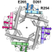 Conformational change in the SthK ion channel